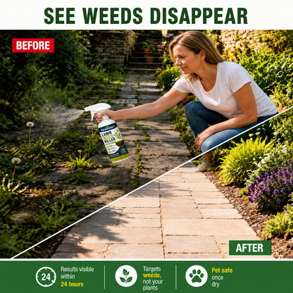 ⚡ [Easy and stress-free weeding in the garden] Herbicide for domestic use（2）