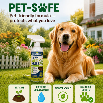 ⚡ [Easy and stress-free weeding in the garden] Herbicide for domestic use（2）