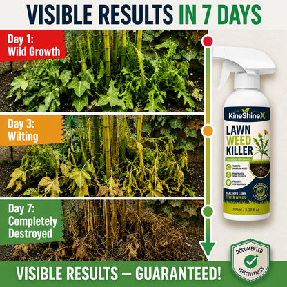⚡ [Easy and stress-free weeding in the garden] Herbicide for domestic use（2）